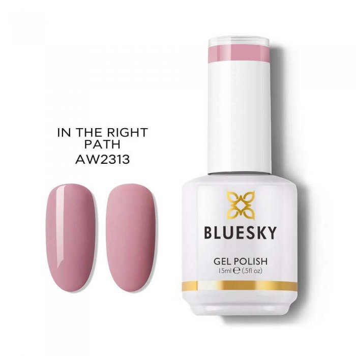 Bluesky Uv Gel Polish AW2313P In The Right Path 15ml