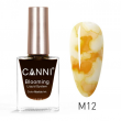 Canni Blooming Liquid M12 15ml