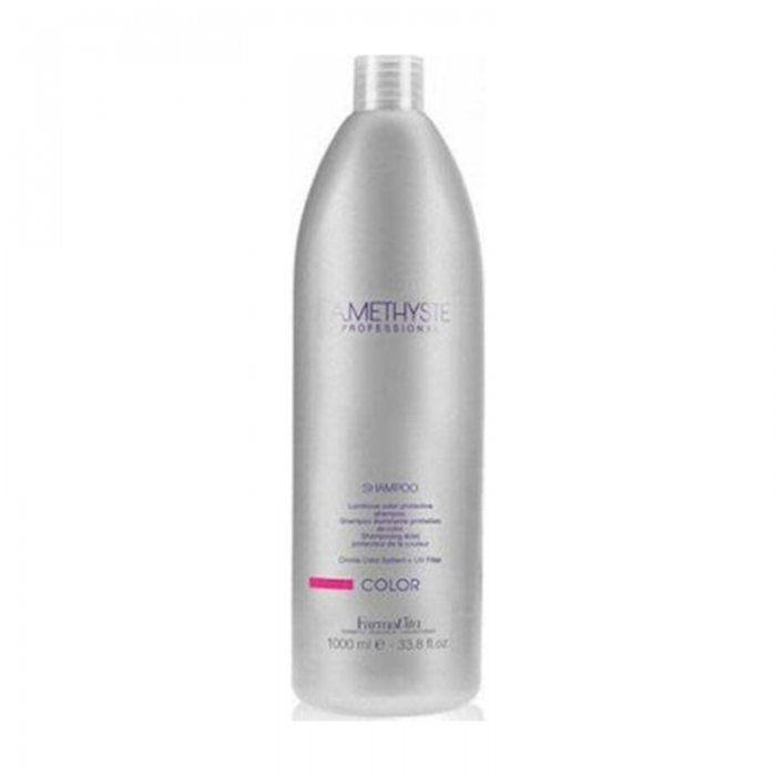 Shampoo for Dyed Hair Farmavita Amethyste Color Shampoo 1000ml