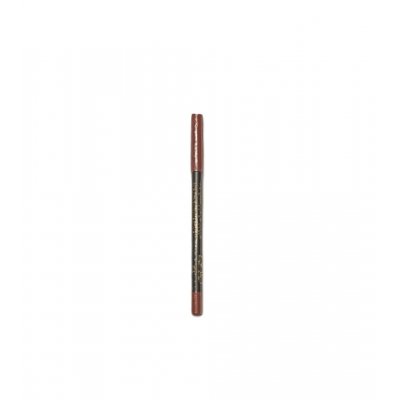 MD Professionnel Perfect Liner Waterproof Lip Color 502