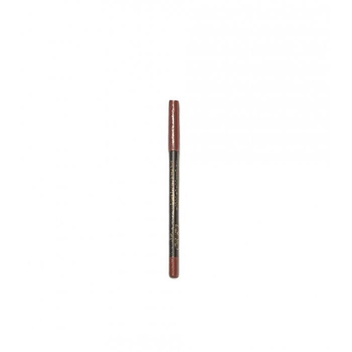 MD Professionnel Perfect Liner Waterproof Lip Color 502