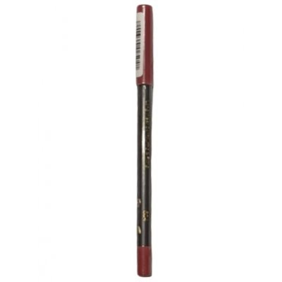 MD Professionnel Perfect Liner Waterproof Lip Color 504