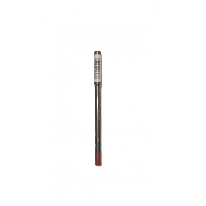 MD Professionnel Perfect Liner Waterproof Lip Color 505