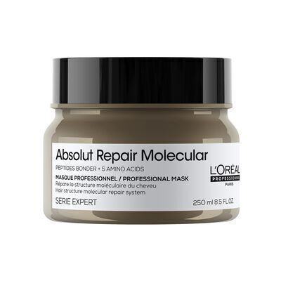 L'oreal Professionnel Serie Expert Absolut Repair Molecular Mask 250ml