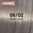 Wella Professionals Shinefinity Zero Lift 06/02 Dark Sage 60ml