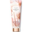 Victorias Secret Coconut Milk & Rose Fragrance Lotion 236ml
