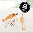 Abacus Brands VR Giftbox Human Body! Σετ εικονικής πραγματικότητας – Πολυτελές Σετ Δώρου Για ηλικίες 8 ετών και άνω – Περιλαμβάνει Γυαλιά VR