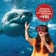 Abacus Brands VR Giftbox Oceans! Σετ εικονικής πραγματικότητας – Πολυτελές Σετ Δώρου Για ηλικίες 8 έως 12 ετών – Περιλαμβάνει Γυαλιά VR