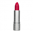 Seventeen Matte Lasting Κραγιόν 60
