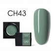 Canni Color Mud Gel CH43    5g