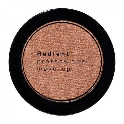 Radiant Professional Βlush Color 113 Winter Plum  4 gr
