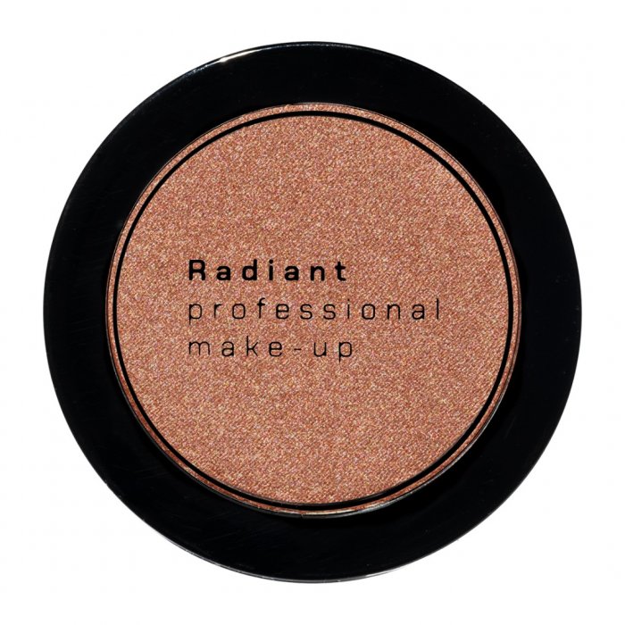Radiant Professional Βlush Color 113 Winter Plum  4 gr