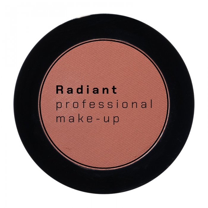 Radiant Professional Eye Color Matte 293 Brick 4gr