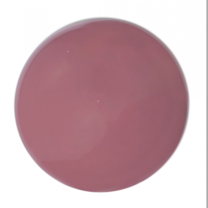 Radiant Professional Ultra Stay Lip Color 24 Spicy Cinnamon    6ml