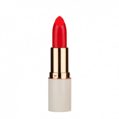 MD Professionnel Volume Up Lipstick  50