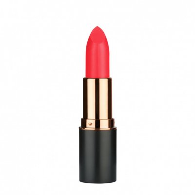 MD Professionnel Volume Up Matte Lipstick  125