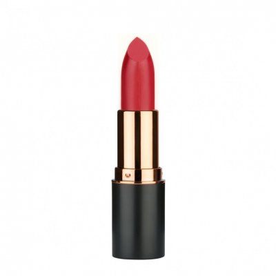 MD Professionnel Volume Up Matte Lipstick  132