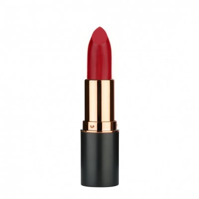 MD Professionnel Volume Up Matte Lipstick  135