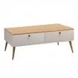 Τραπεζάκι σαλονιού Alis Megapap χρώμα λευκό - oak 110x50x40εκ. Τραπεζάκι σαλονιού Alis Megapap χρώμα λευκό - oak 110x50x40εκ.