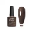 Canni Gel Color System 211 Grey Brown With Brilliance 7.3ml
